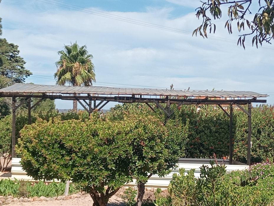 Vendo Telheiro de Madeira com Cobertura Translúcida  8 x 4 m — 32 m².