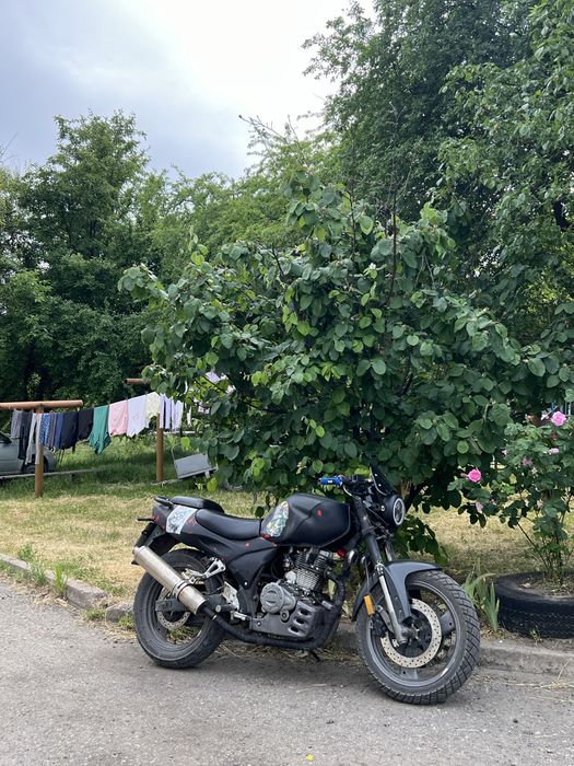 Zongshen zs200gs