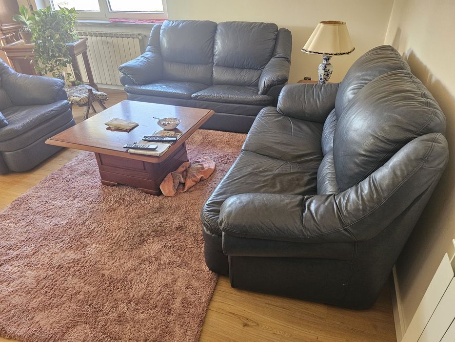 Conjunto de sofás de pele (Paços de Ferreira)