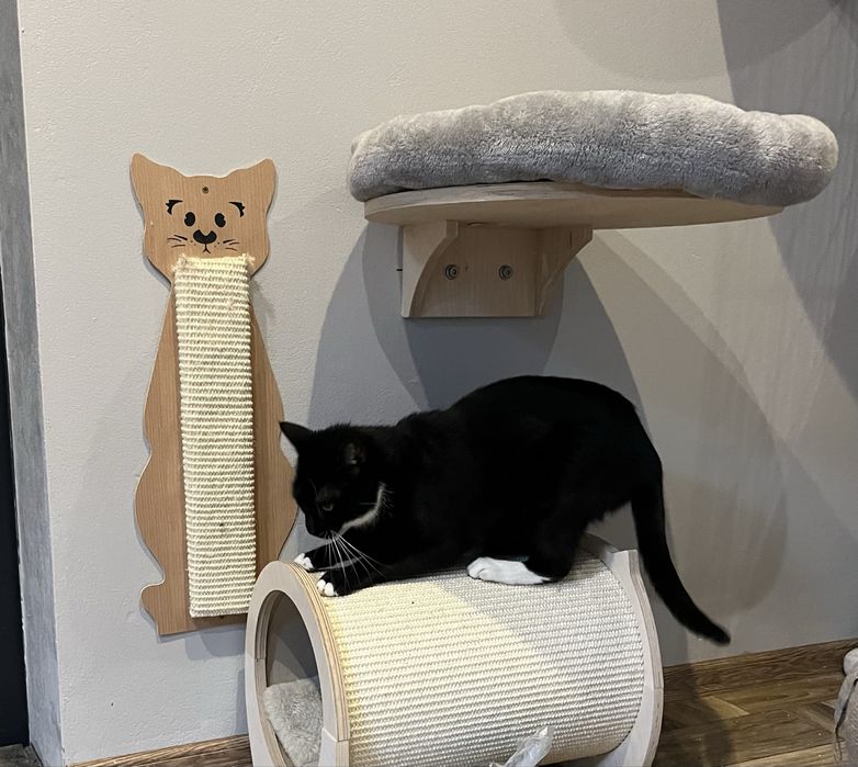 Delikatna Blanka szuka chaty