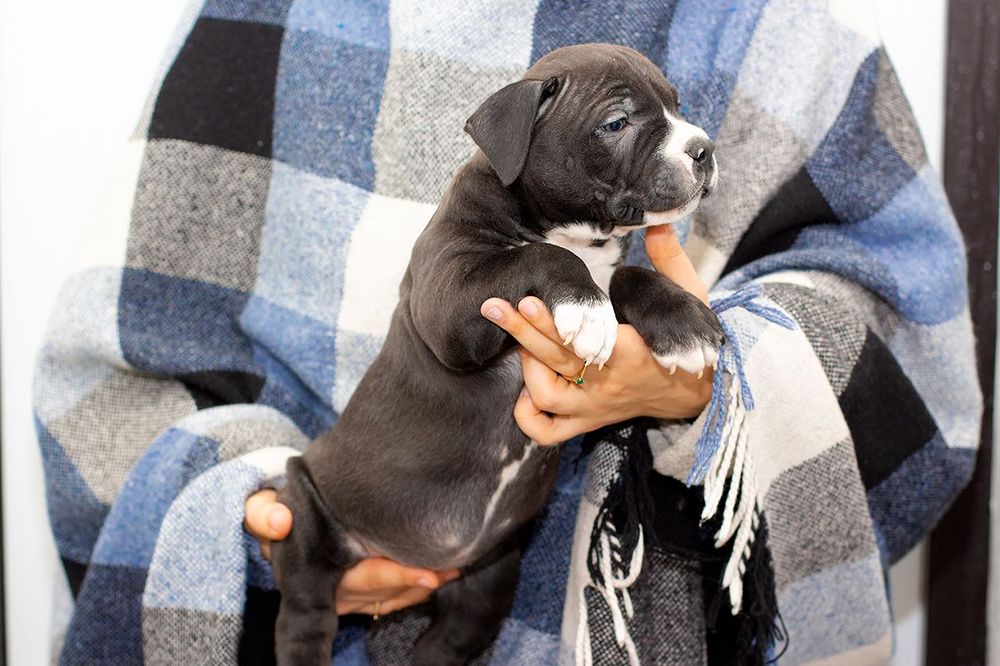 Брат та сестра клубних АСТ