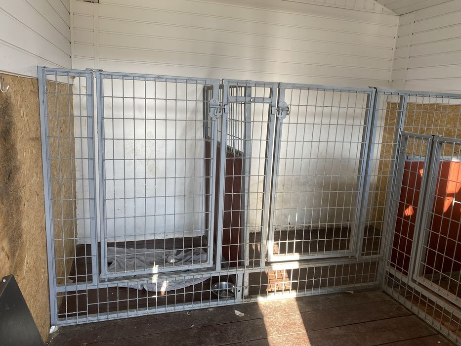 Kojce, zabudowa dla psow dla hotelu lub hodowli