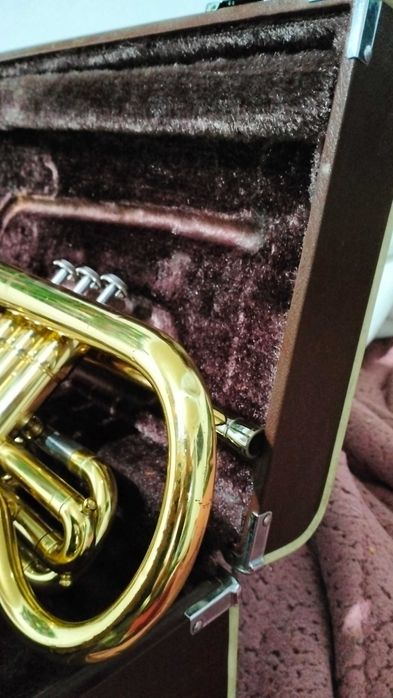 Cornetim Yamaha 2330