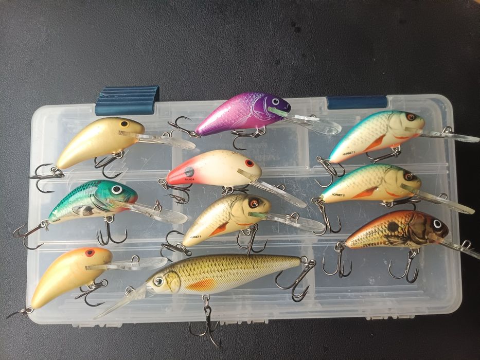 Woblery Salmo hornet