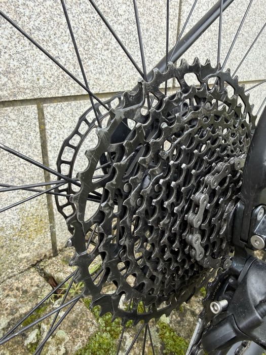 Coluer Poison CR 290