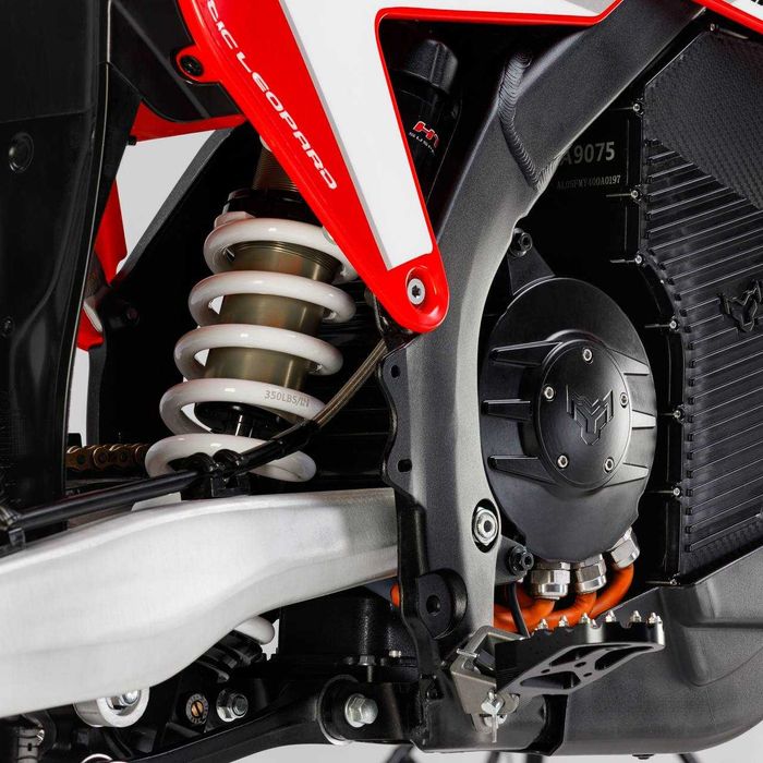 Arctic Leopard EXE 800 • Электро мотоцикл для взрослых • Ендуро класс