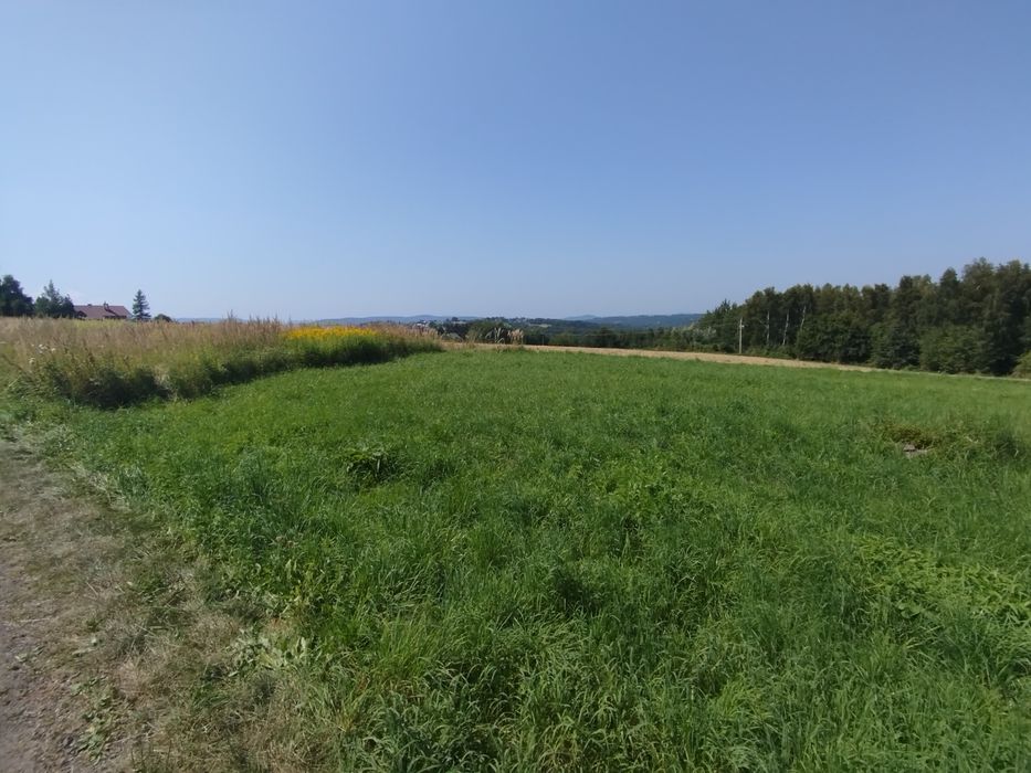 Widokowa działka budowlana w Sieprawiu.