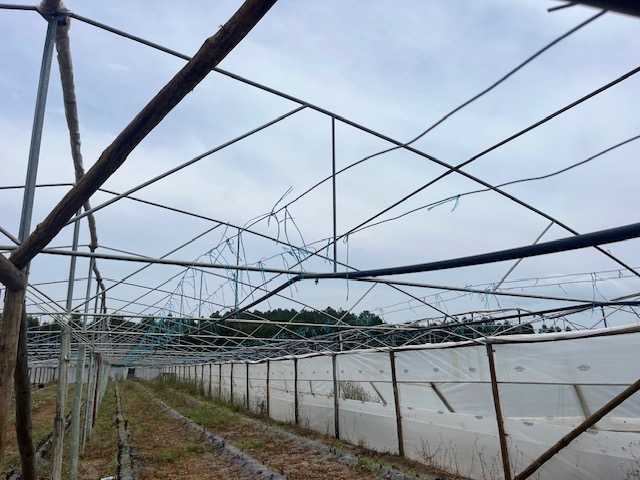 Vendo Arcos (Asnas) para Estufas – Ferro Galvanizado