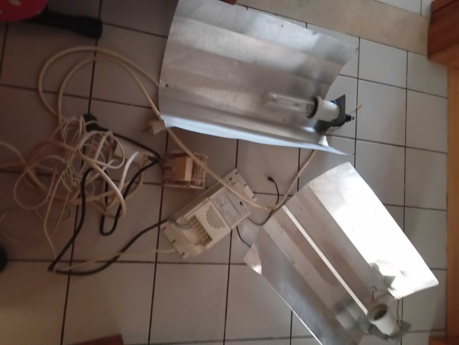 Cultivo outdoor..para plantas