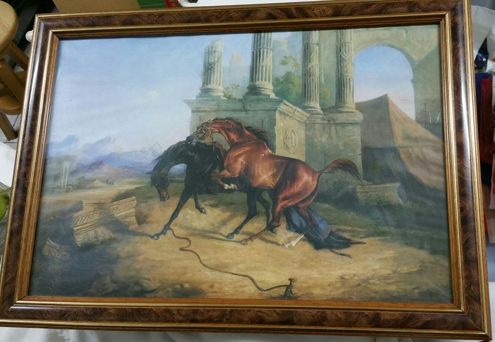 Estampas de cavalos Árabes