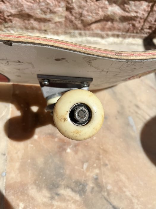 Skate santa cruz