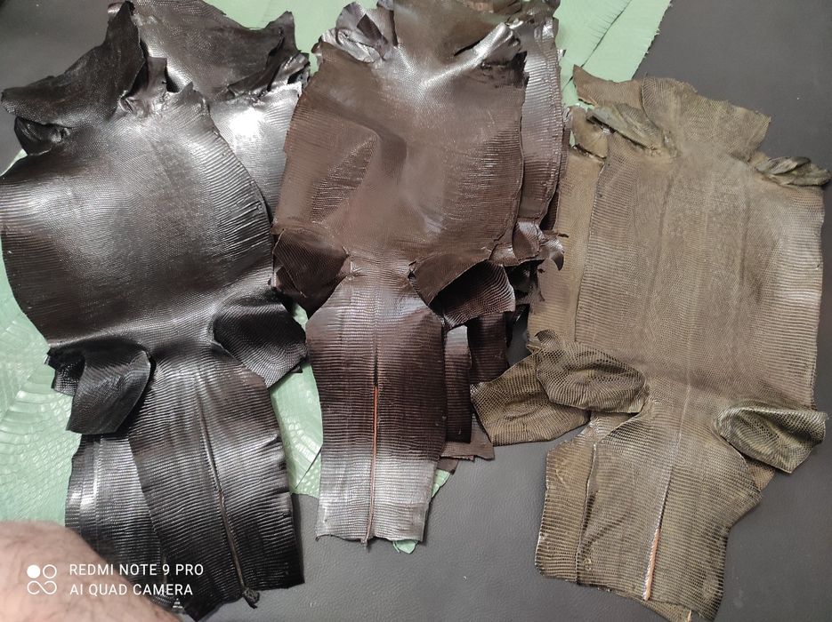 Екзотична шкіра ІГУАНИ