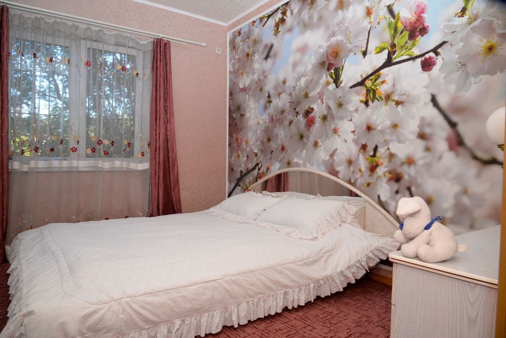 Продам будинок Святопетрівське