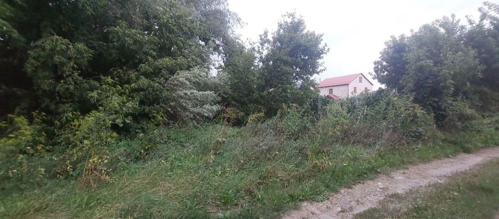 Продам земельный участок в Солоницевском ОТГ (п.Пересечное)