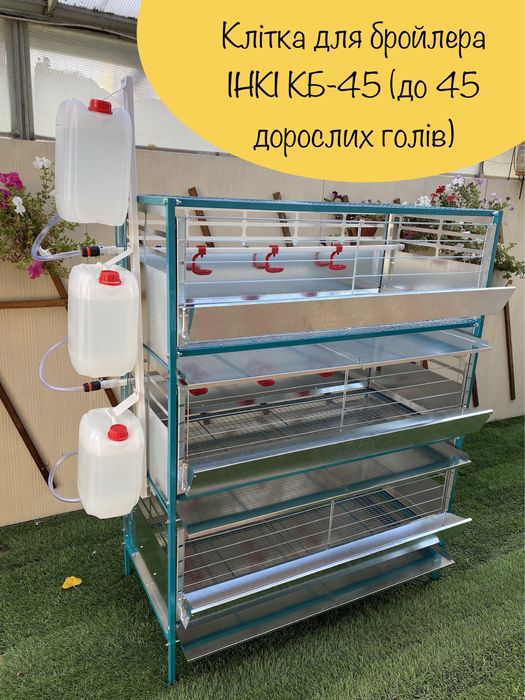 Клітка для бройлерів. Клетка для цыплят, бройлеров