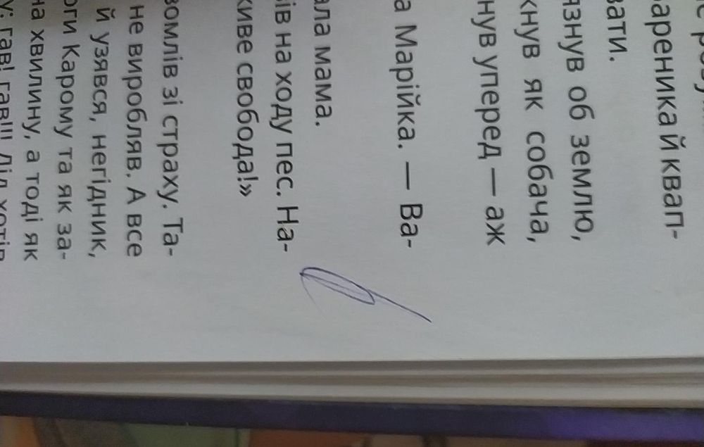 Книга  , Мері . Автор: Сашко Дерманський