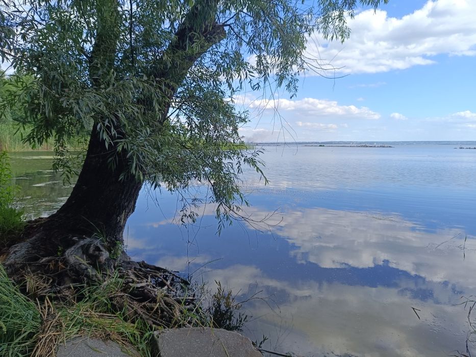 База отдыха на берегу р.Днепр