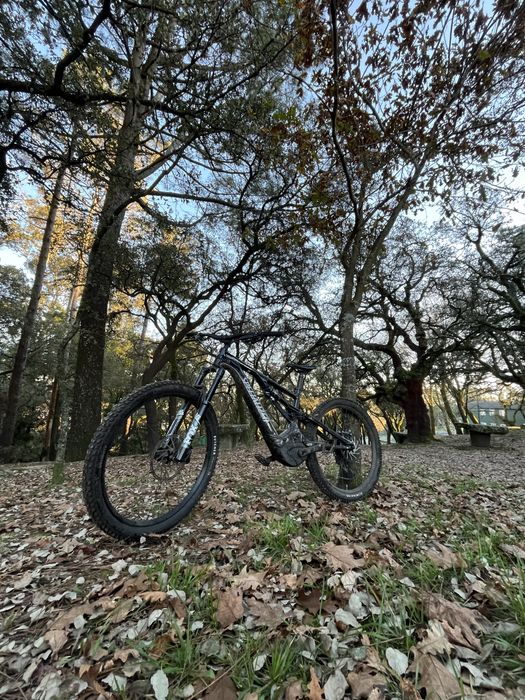 Specialized turbo levo