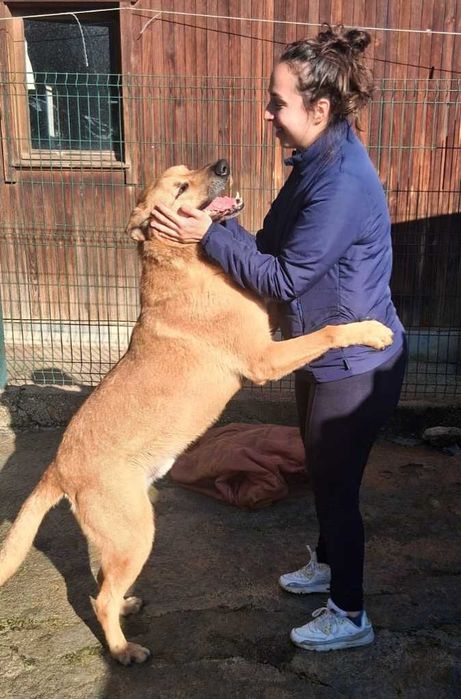 O grande MAX está para adoção;
