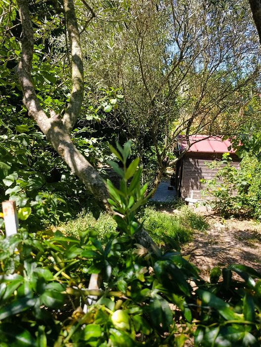 Terreno para venda