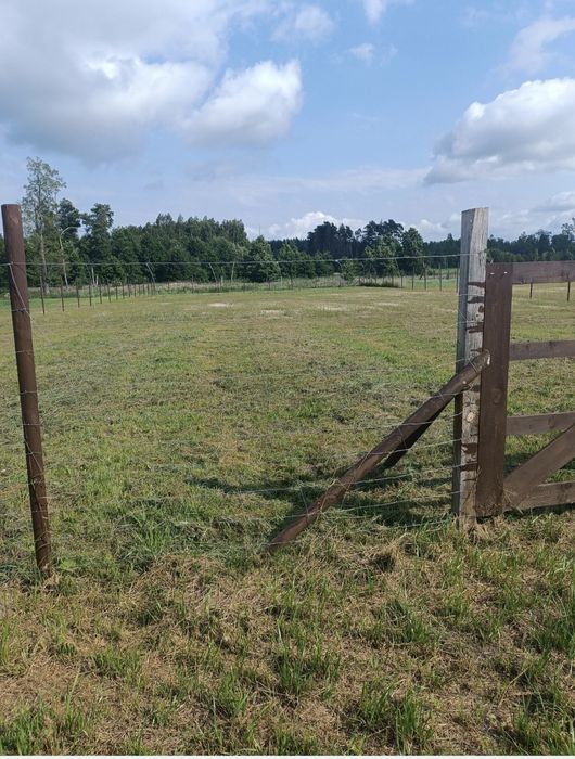 Super działka na Mazurach (NIE ROD)