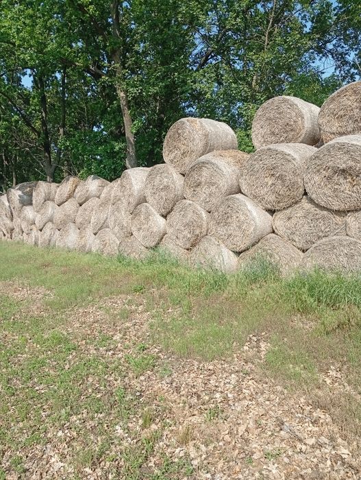 Продам солому в тюках сіно сено в тюках люцерка солома для мульчи