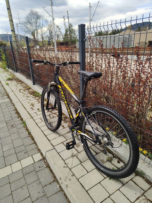 Kross hexagon x1