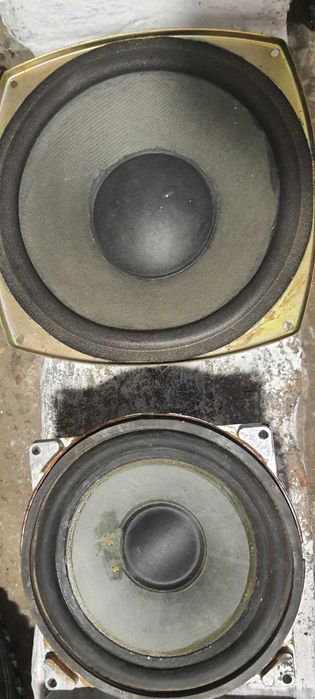 динамик средне частотный 20 гдс_