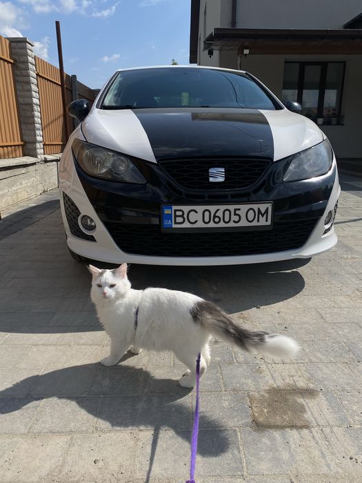 Продам Seat Ibiza 1.4  Polo Fabia  Volkswagen