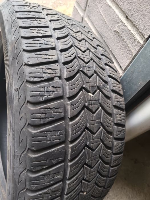 Opony zimowe Dębica frigo 225 50 r 17