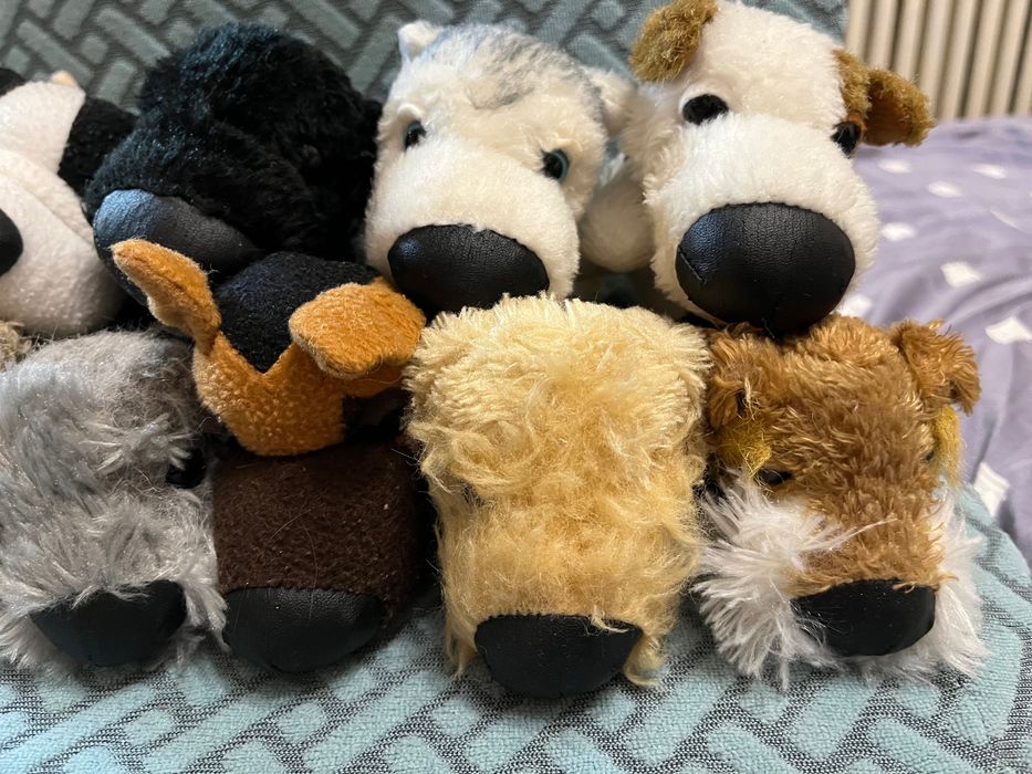 Котики собачки The dog collection, The cat collection, м'які іграшки