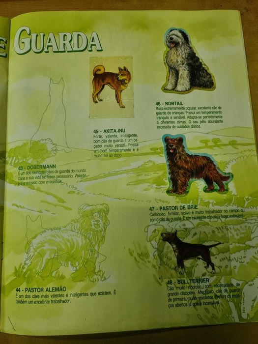 Caderneta BOLLYCAO - O Teu Melhor Amigo