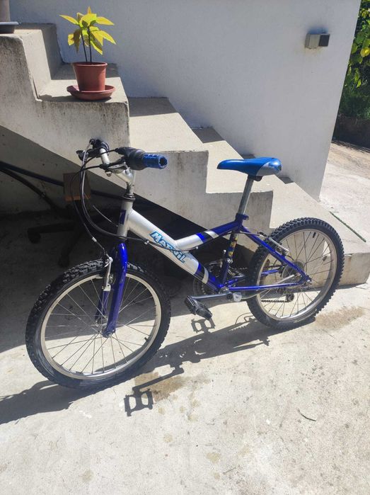 Bicicleta roda 20