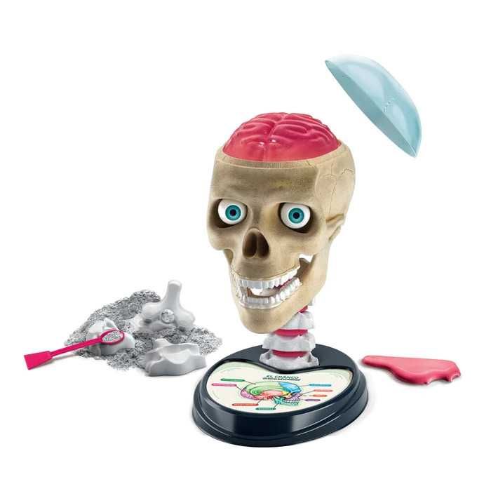 Jogo Educativo - Anatomia fora da cabeça (NOVO)