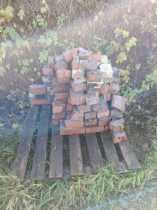 Oddam cegle za darmo