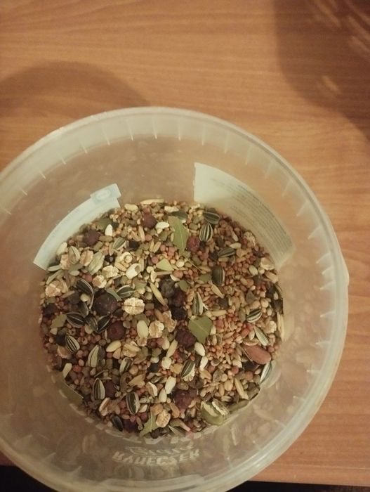 Pokarm dla papug nimf