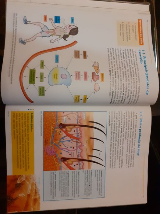 Caderno Atividades e manual VIVA A TERRA Ciências 5º