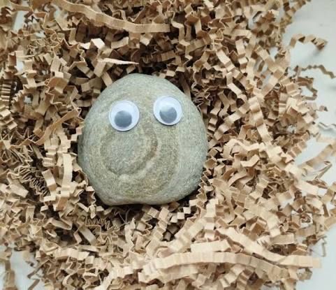 Камень питомец с глазами :)