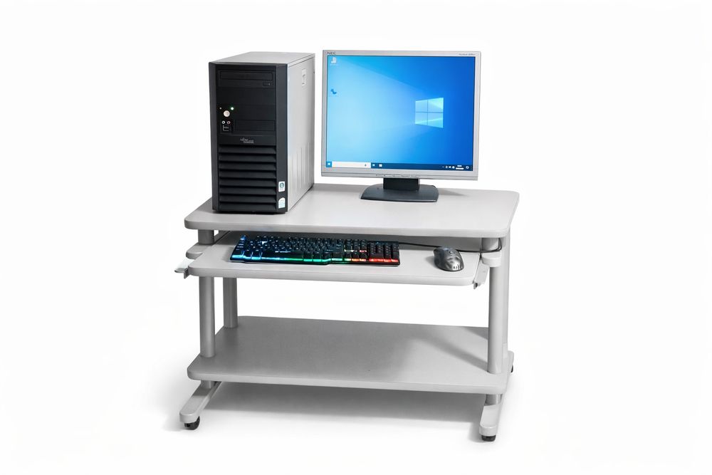 Komputer + monitor | Windows 10 PRO | Fujitsu Siemens | 5 SZT.