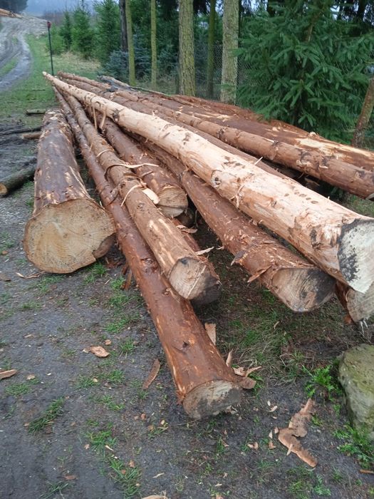 Drewno dłużyca korowana świerk i modrzew