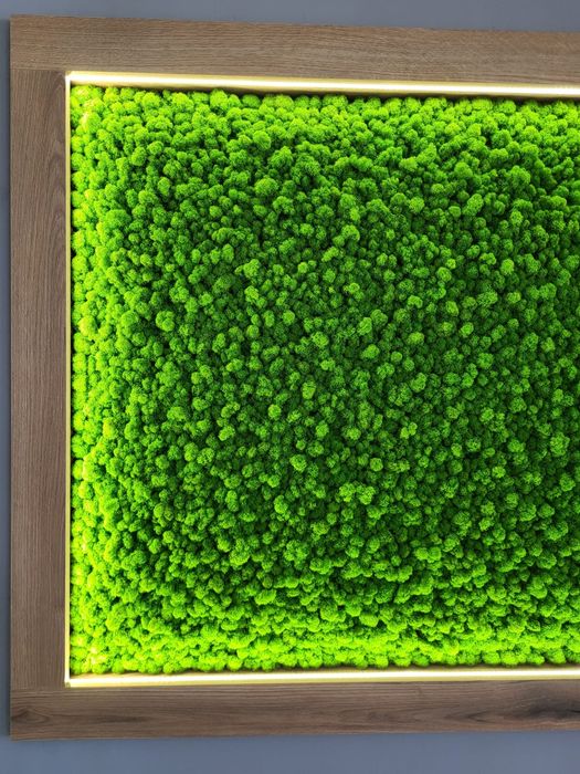 Panel Mech Chrobotek NA WYMIAR 1m2