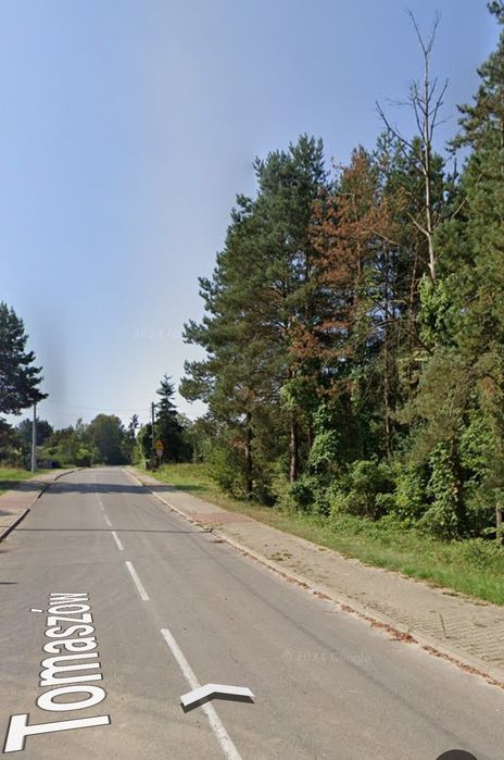 Duża działka 3875 m² w pobliżu osiedla Rosochy