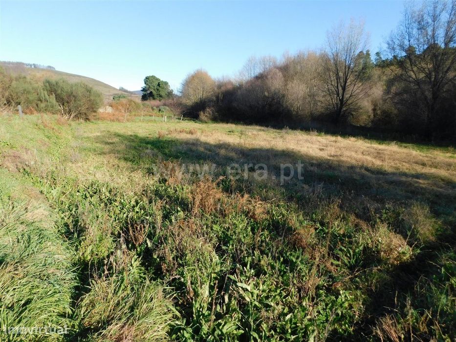 Terreno / Covilhã, Verdelhos