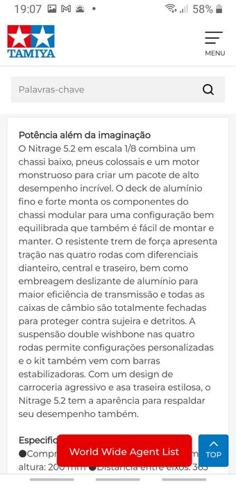 Carro nitro telecomandado