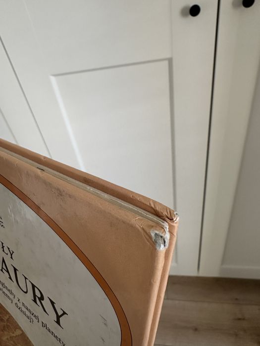 Jak żyły dinozaury książka UNIKAT