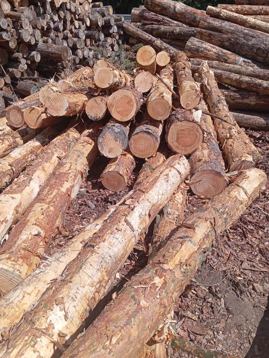 Drewno opałowe, kominkowe dąb brzoza, sosna