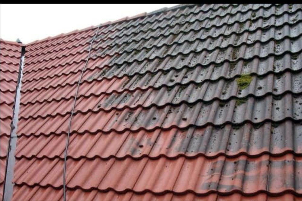 Mycie i Malowanie dachów i elewacji