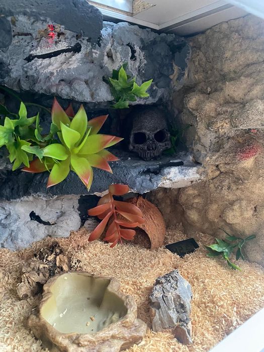 Terrarium  z wyposażeniem. 60/40/40 cm