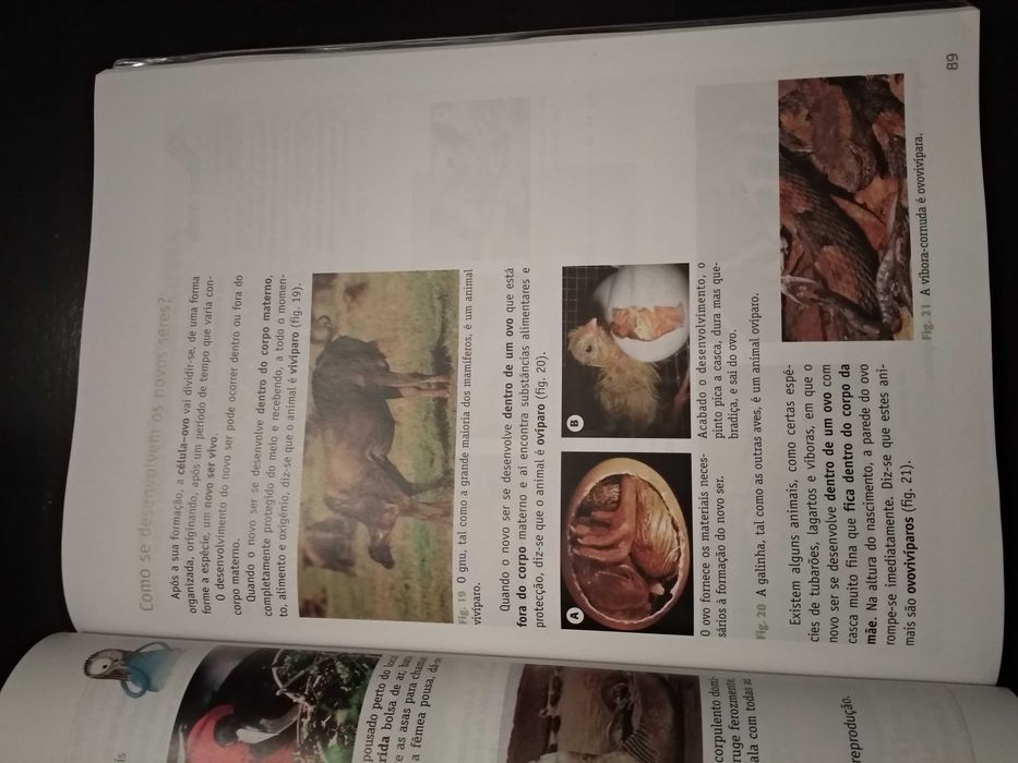 Manual e caderno de atividades Ciências da Natureza 5.º ano