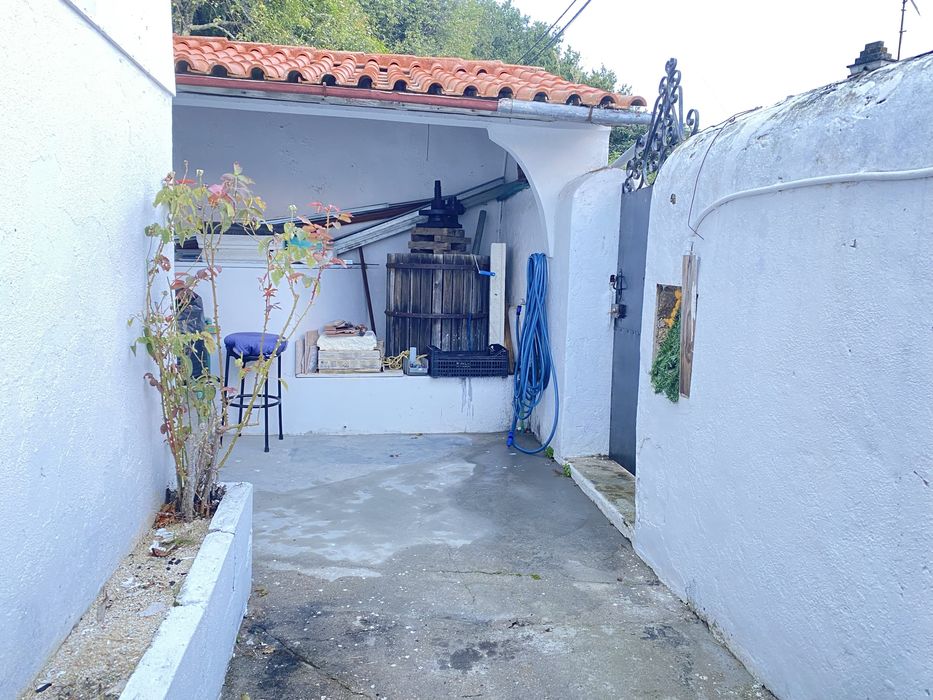 Quintinha c/ moradia T3 + 2 Ruínas